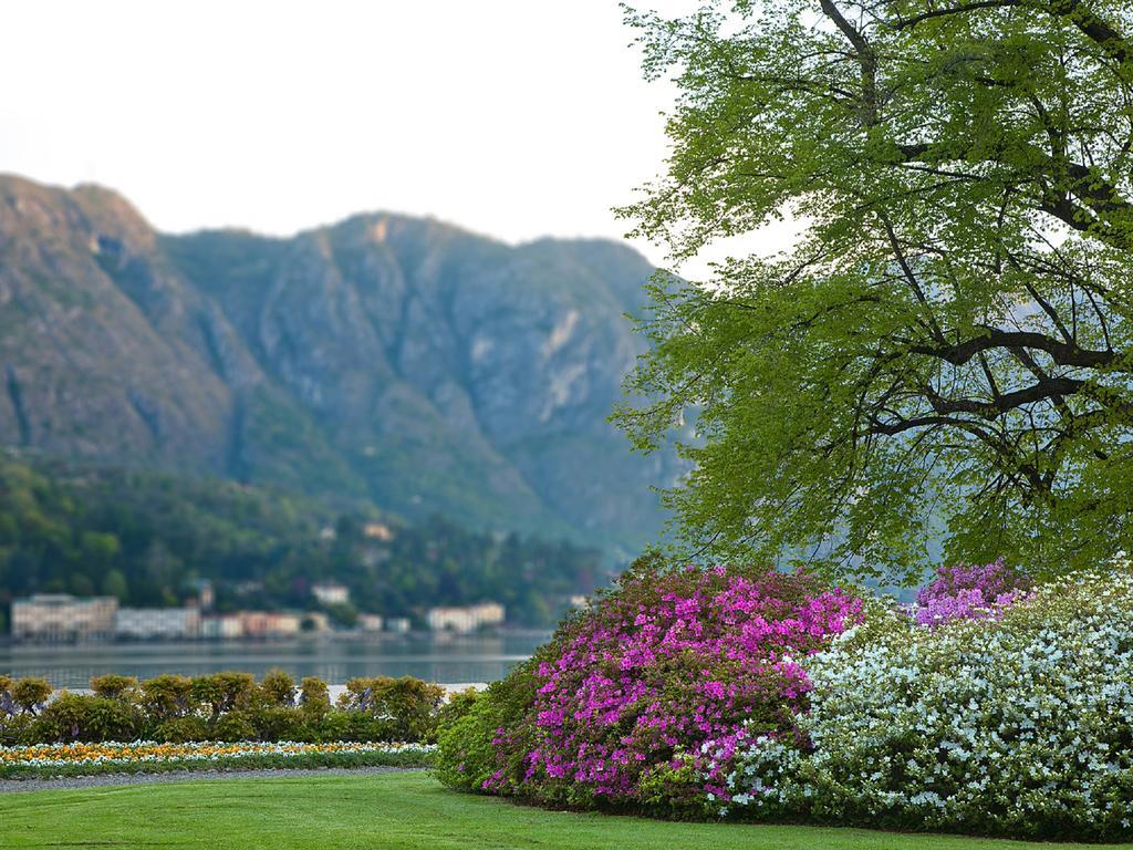 Colibri Lakeview Apartment Bellagio Kamer foto
